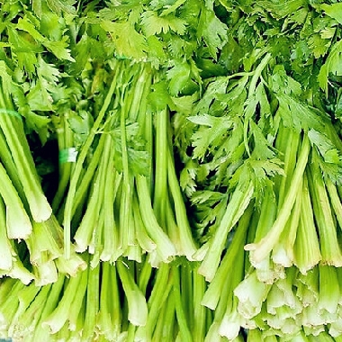 基地直供 富硒有机蔬菜 芹菜 250g本地毛芹菜 新都可配送 绿色食物