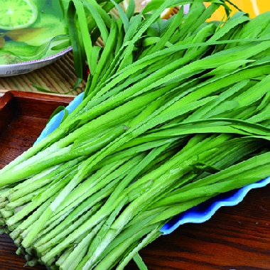 韭菜500g 新鲜蔬菜 营养又好吃 原生态蔬菜 环保健康