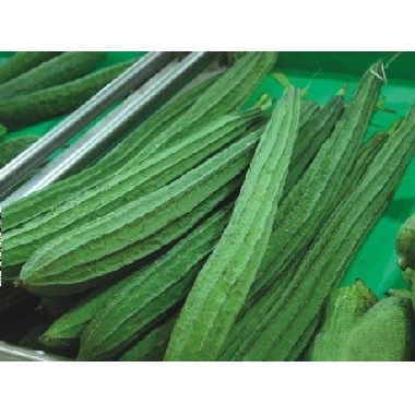 八角瓜500g 新鲜采摘 新鲜蔬菜