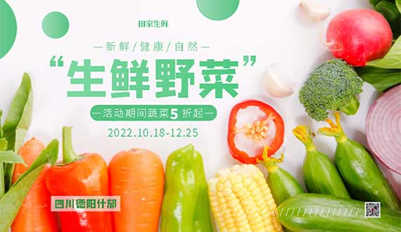 面包车蔬菜批发配送怎么实现年入百万